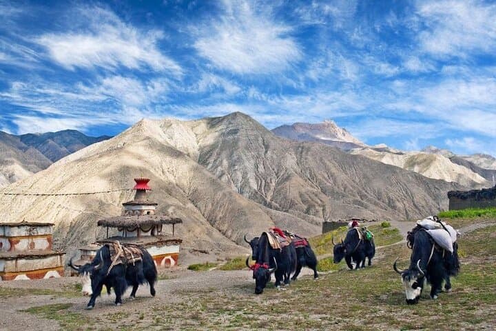 Himalayan trekking moment