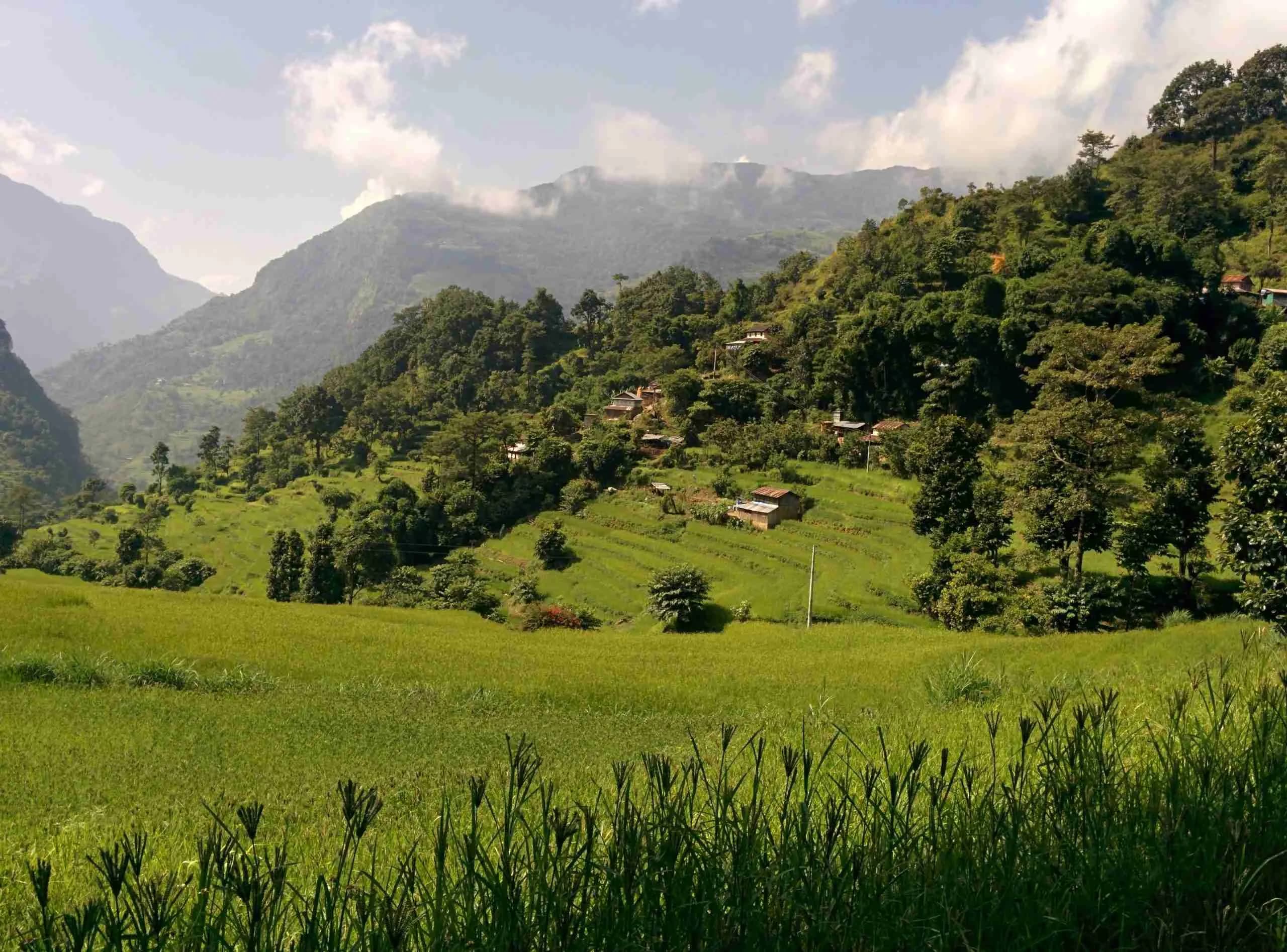 Annapurna Circuit Trek - Image 3